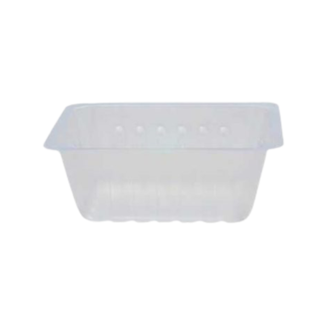 Fried Containers 250Gr / 500 Pcs